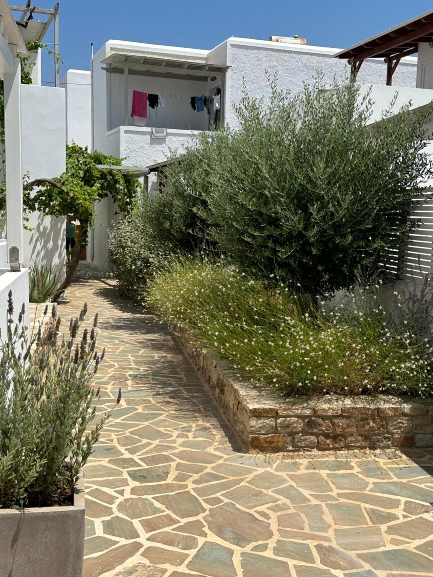 Levanda Guest Houses 안디파로스 외부 사진